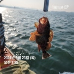 낮볼락 낚시