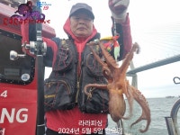 5월9일부터 내만문어 정상출조합니다