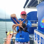 남해 하동 신노량 사천 청풍피싱 돌문어조항!!!