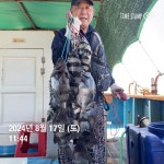 주말.휴일.돌돔.참돔.조황 올립니다