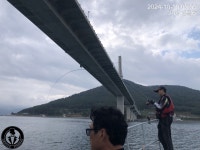 [거제 젠틀호] 감성돔 4짜외 13수 철수조황(낼 오전출조 예약가능)