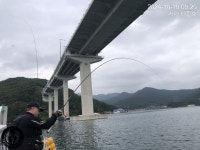 [거제 젠틀호] 감성돔 4짜외 13수 철수조황(낼 오전출조 예약가능)