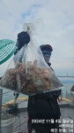 통영 서하호 문어 kkk 대박 4일 철수 조황입니다