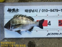 해금강 49Cm 47/45Cm 감성돔외 잔당들 조황입니다
