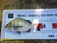 해금강 대물감성돔 51/51/47/46/45Cm외 잔당들