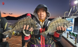 54.52.51.50.49.49.47.46.45.45.43.42.42.41.40.40.40.... 감성돔 굿