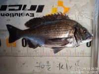 순풍에 돛을달고~~~