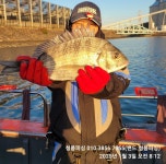 하동남해 신노량 청풍피싱 감성돔 흘림낚시!