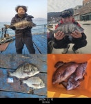 거제 54 감성돔