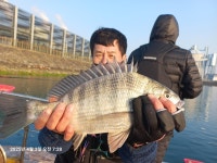 4월3일 길성호 감성돔 흘림 조황 입니다
