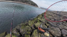 사등 다녀왔습니다. 대세는 물 내려오는 자리인가...