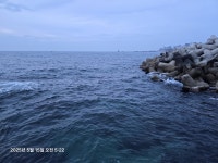 감포바다 기상 및 조황정보