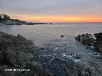 감포바다 기상 및 조황정보