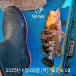 낮볼락 낚시