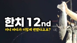 한치 12차전 변해버린 바다 올 시즌 갈치 낚시도 살짝 불안해요