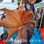 문어 두자릿수는 해야!!