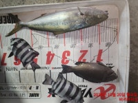 전원손맛~6방.5방.5방.3방.2방.2방~돌겠네ㅠ