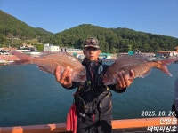 대박호)토일월5/4/4/4/4/4/4/4/4/4/4/4/4/4/4/