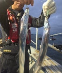 [목화피싱]10/14일 목포갈치 3짜4짜 70~80수 잘하신분들 잡넹!(쭈갑낚시출조)