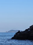 11월12일 보령 용섬 갯바위