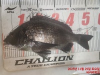 5짜맛집~대물54~43~43~43~42등등~~