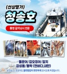 청송호)감성돔 조황