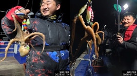 낙지 예약받습니다~