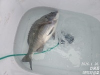 대박호)사량도~대박/쪽박~ 7마리