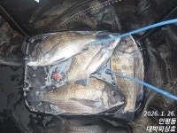 대박호)사량도~대박/쪽박~ 7마리