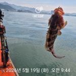 낮볼락 낚시