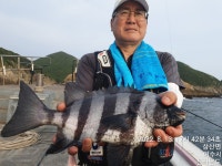 모기,광,평도 수요일밤 출항안내.