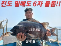 가거도 19~20(1박2일)/ 상태도 18 ~ 20(2박3일) 출항합니다.