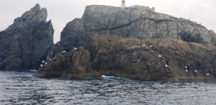 전사세보 피싱투어“오도열도”부분조황및출조스케쥴