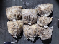 백호 쭈꾸미 조황~ 주중 주말 자리여유 예약 가능 합니다^^