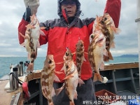 설날당일(10일)밤11시 완도-사수도/여서도/추자권 슈퍼왕열기/우럭 출조 예약중입니다/