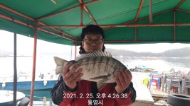 (풍화리장촌) 대물감성돔 외 마릿수 조황.