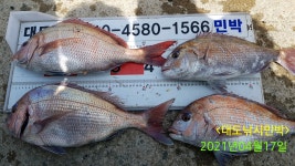 다대 조황 입니다