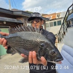 부산가덕새바지낚시 5짜`4짜`4짜`4짜`감성돔조황