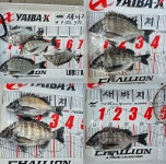 가덕새바지낚시 5짜5짜5짜5짜~4짜마릿수감성돔이틀조황