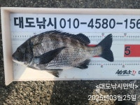 오늘도 대도낚시를 찾아주신 조사님들 감사합니다. 대도낚시 ★ 손전화기 / 010-4580-1566 ★ 오시는 길 경남 거제시 남부면 다대5길 57 대도