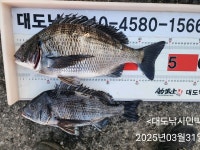 오늘도 대도낚시를 찾아주신 조사님들 감사합니다. 대도낚시 ★ 손전화기 / 010-4580-1566 ★ 오시는 길 경남 거제시 남부면 다대5길 57 대도
