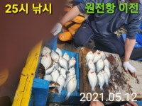 (25시 낚시&미니스톱)원전 덴마 금일 날씨에 반전