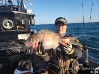 장승포 피싱톡호 11월1일 안경섬흘림 영상조황