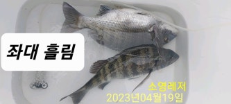 어제와 오늘 유촌 소식입니다.