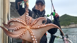 사천피싱스타 수요일 욕지권 밤뽈락 출조합니다(자리완전 여유)