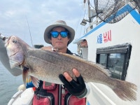 격포서울낚시 7월29일 대박1호 민어 조황입니다.