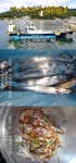 구산면 타이거 칼치