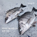 다대낫개 호진 2호 입니다