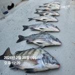 다대낫개 호진 2호 입니다