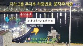 ✨ 오늘(목)밤 밤뽈락 정상출항 / 금,토,일,월 예약중✨